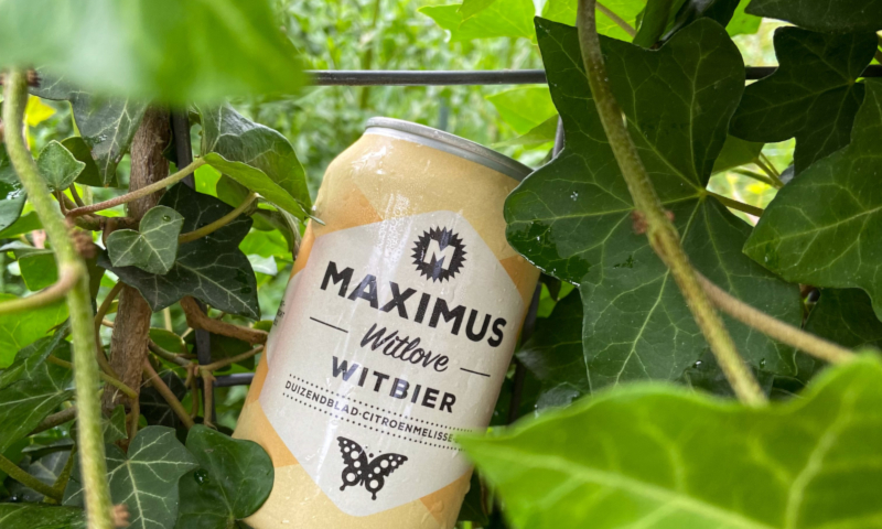 Witlove blikje in een struik